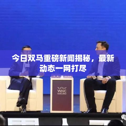 今日双马重磅新闻揭秘，最新动态一网打尽