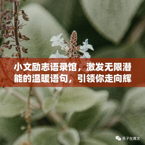 小文励志语录馆，激发无限潜能的温暖语句，引领你走向辉煌人生！