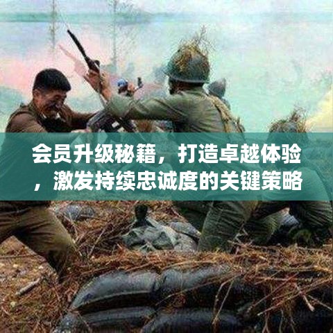 会员升级秘籍，打造卓越体验，激发持续忠诚度的关键策略