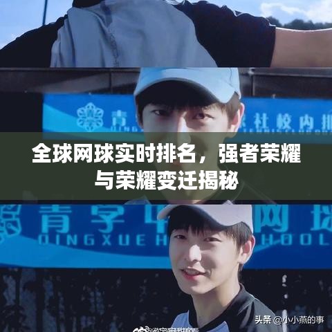 全球网球实时排名，强者荣耀与荣耀变迁揭秘