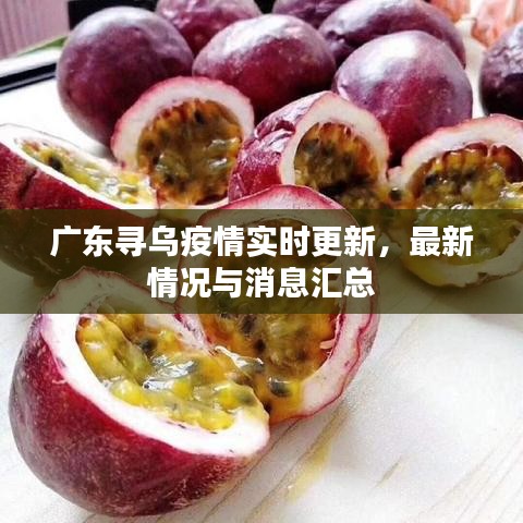 广东寻乌疫情实时更新，最新情况与消息汇总