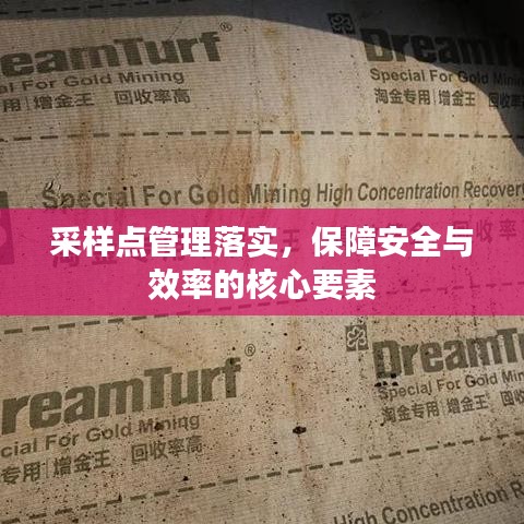 采样点管理落实，保障安全与效率的核心要素