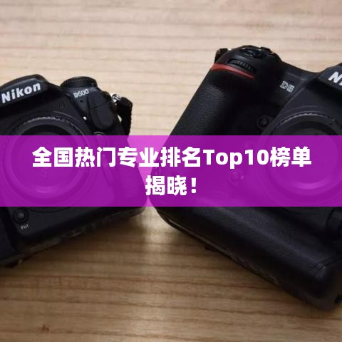 全国热门专业排名Top10榜单揭晓！
