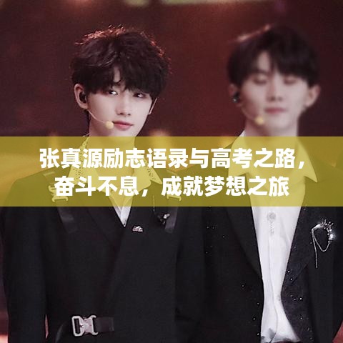 张真源励志语录与高考之路，奋斗不息，成就梦想之旅
