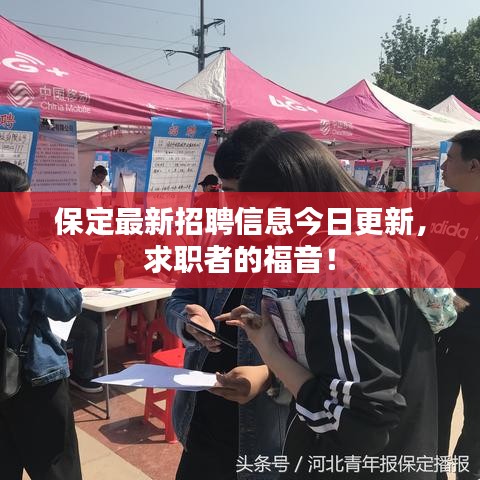 保定最新招聘信息今日更新，求职者的福音！