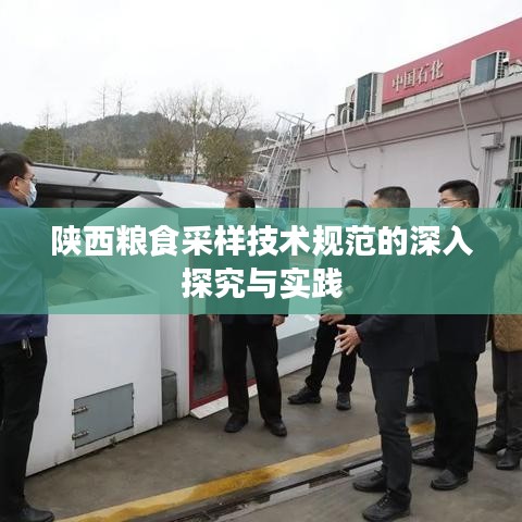 陕西粮食采样技术规范的深入探究与实践
