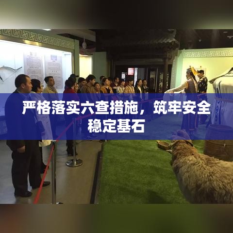 严格落实六查措施，筑牢安全稳定基石