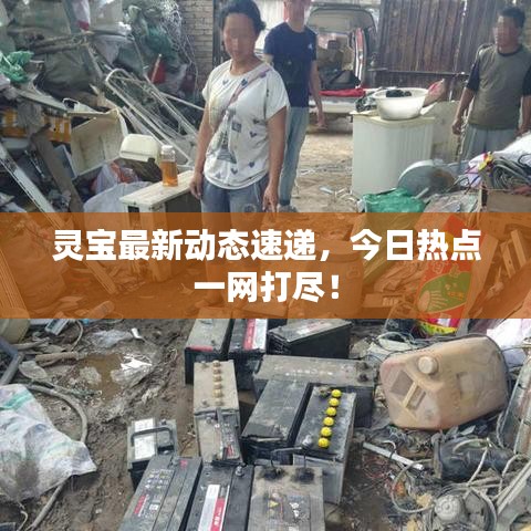灵宝最新动态速递，今日热点一网打尽！