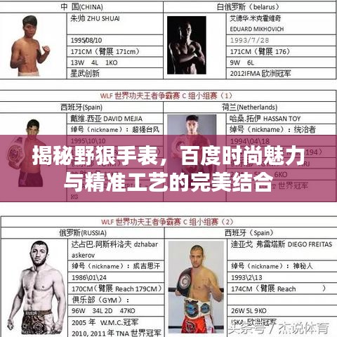 揭秘野狠手表，百度时尚魅力与精准工艺的完美结合