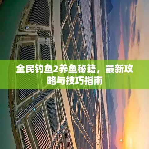 全民钓鱼2养鱼秘籍，最新攻略与技巧指南