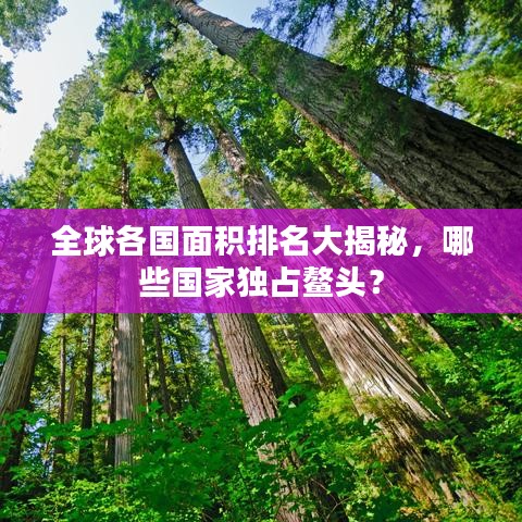 全球各国面积排名大揭秘，哪些国家独占鳌头？