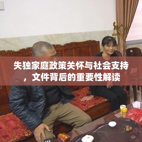 失独家庭政策关怀与社会支持，文件背后的重要性解读
