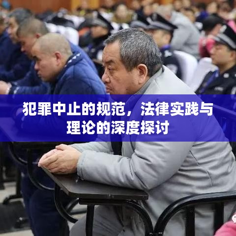 犯罪中止的规范，法律实践与理论的深度探讨