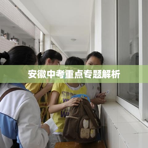 安徽中考重点专题解析