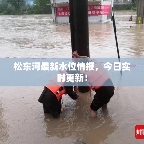 松东河最新水位情报，今日实时更新！