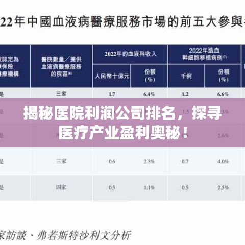 揭秘医院利润公司排名，探寻医疗产业盈利奥秘！