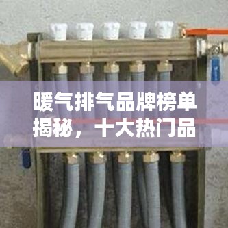 暖气排气品牌榜单揭秘，十大热门品牌排名一网打尽！