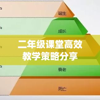 二年级课堂高效教学策略分享