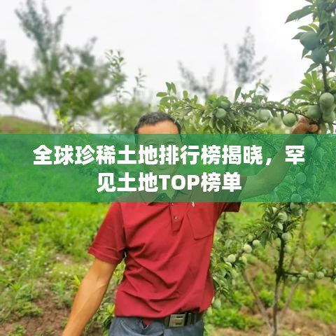 全球珍稀土地排行榜揭晓，罕见土地TOP榜单