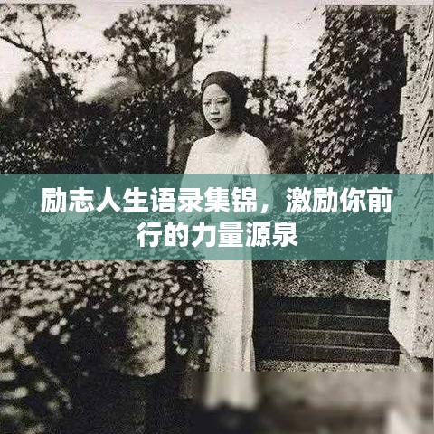 励志人生语录集锦，激励你前行的力量源泉