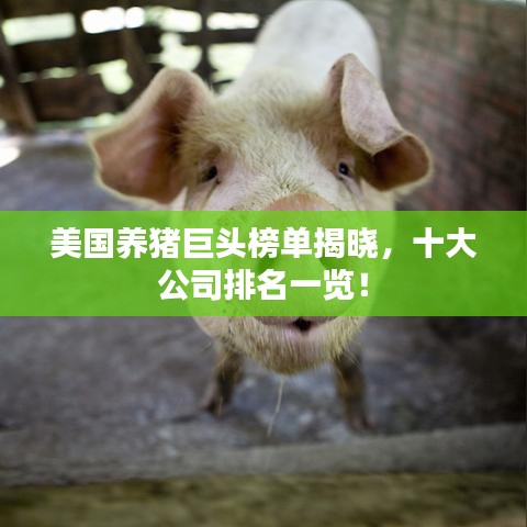 美国养猪巨头榜单揭晓，十大公司排名一览！