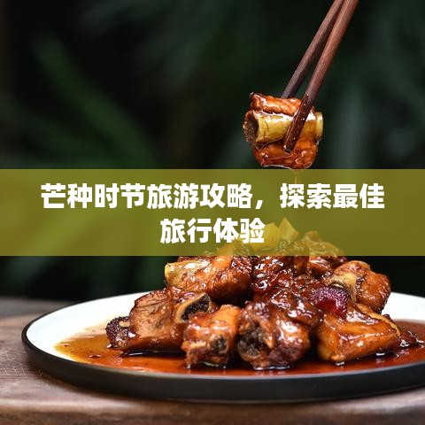芒种时节旅游攻略，探索最佳旅行体验