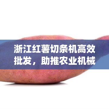 浙江红薯切条机高效批发，助推农业机械化进程
