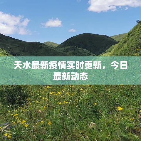 天水最新疫情实时更新，今日最新动态