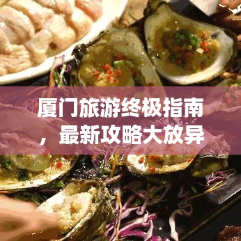 厦门旅游终极指南，最新攻略大放异彩！