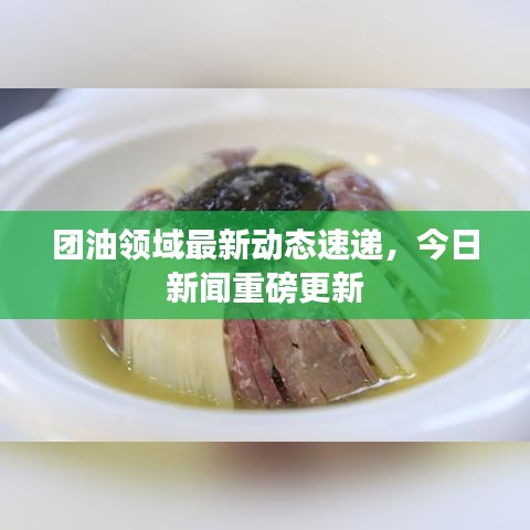 团油领域最新动态速递，今日新闻重磅更新