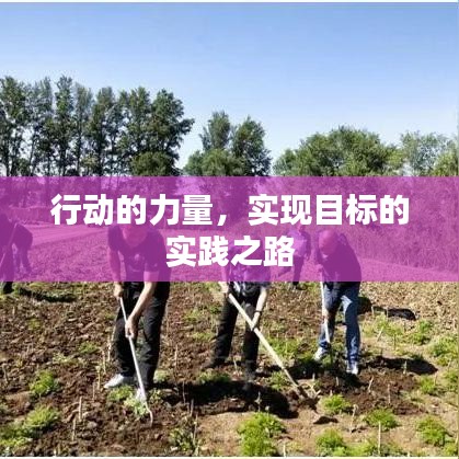 行动的力量，实现目标的实践之路