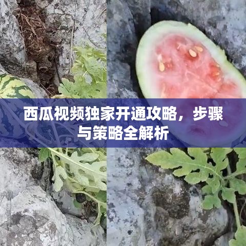 西瓜视频独家开通攻略，步骤与策略全解析