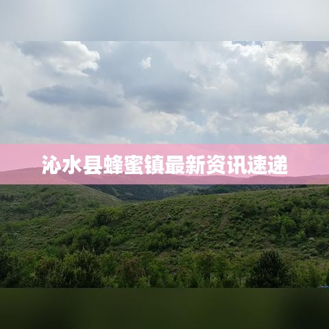沁水县蜂蜜镇最新资讯速递
