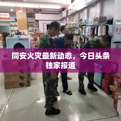 同安火灾最新动态，今日头条独家报道