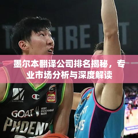 墨尔本翻译公司排名揭秘，专业市场分析与深度解读