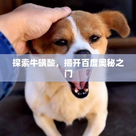 探索牛磺酸，揭开百度奥秘之门