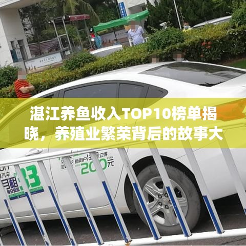 湛江养鱼收入TOP10榜单揭晓，养殖业繁荣背后的故事大揭秘！