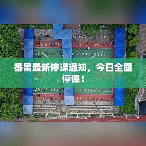 番禺最新停课通知，今日全面停课！