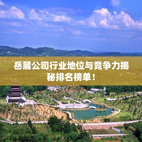 岳麓公司行业地位与竞争力揭秘排名榜单！