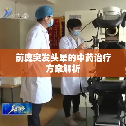 前庭突发头晕的中药治疗方案解析