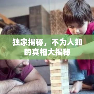 独家揭秘，不为人知的真相大揭秘