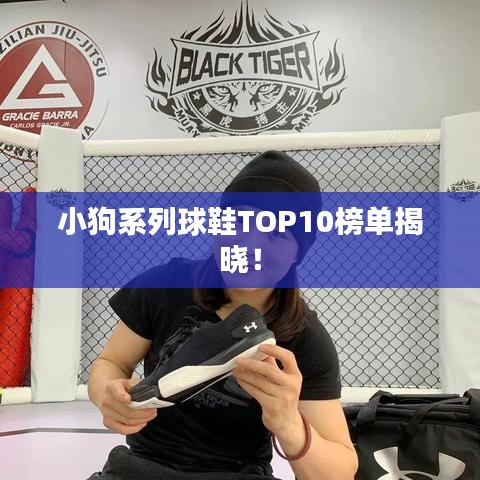小狗系列球鞋TOP10榜单揭晓！