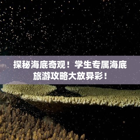 探秘海底奇观！学生专属海底旅游攻略大放异彩！