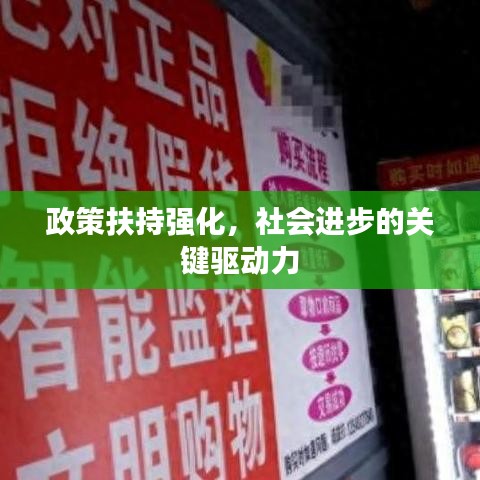 政策扶持强化，社会进步的关键驱动力
