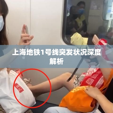 上海地铁1号线突发状况深度解析