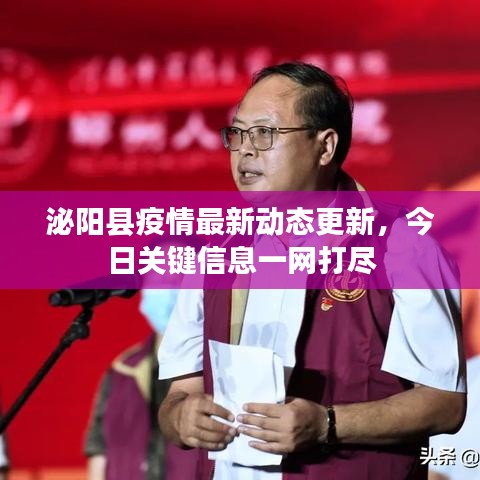 泌阳县疫情最新动态更新，今日关键信息一网打尽