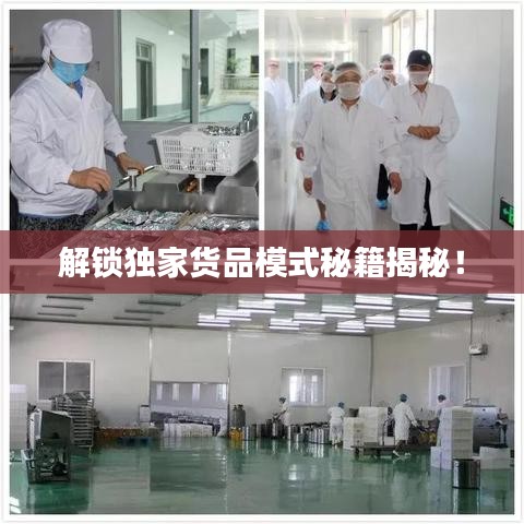 解锁独家货品模式秘籍揭秘！
