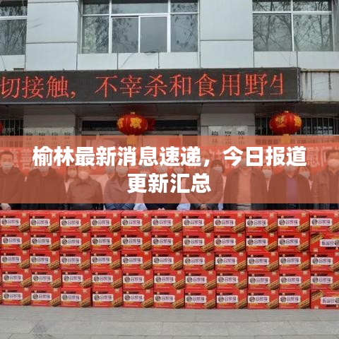 榆林最新消息速递，今日报道更新汇总