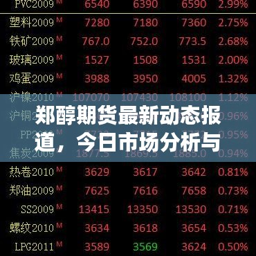 郑醇期货最新动态报道，今日市场分析与消息解读