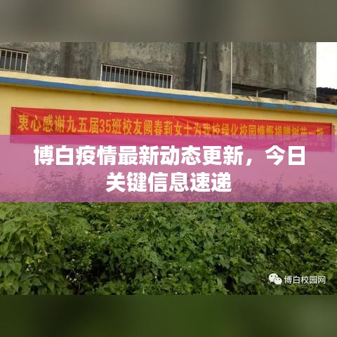 博白疫情最新动态更新，今日关键信息速递